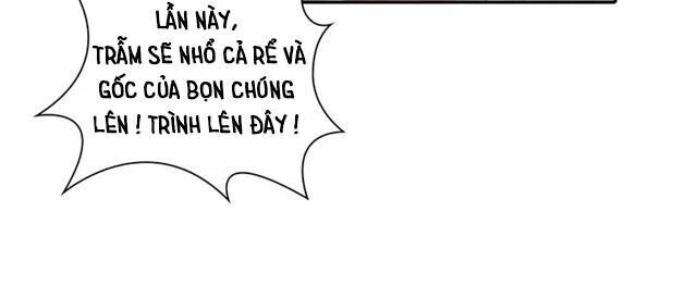 Thịnh Sủng Y Phi Chi Dao Quan Truyện Chapter 138 - 51