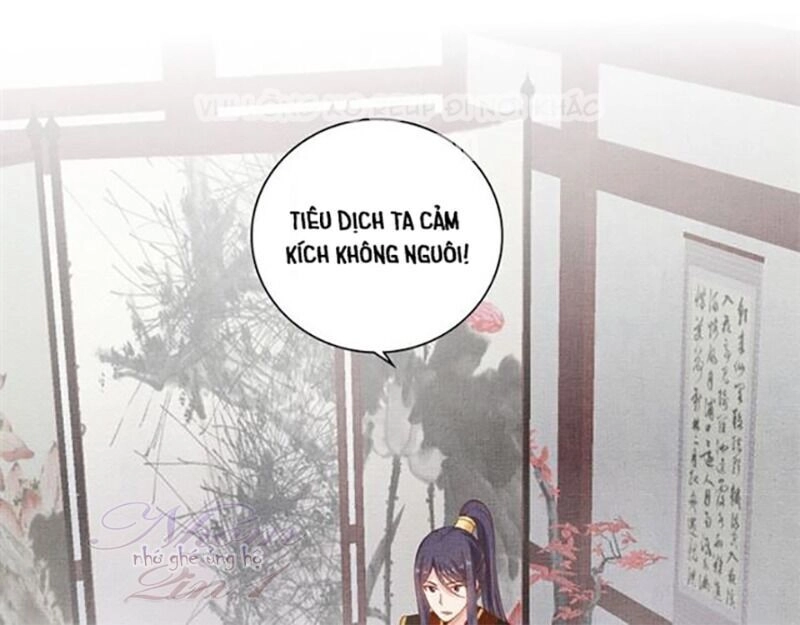 Thịnh Sủng Y Phi Chi Dao Quan Truyện Chapter 139 - 52