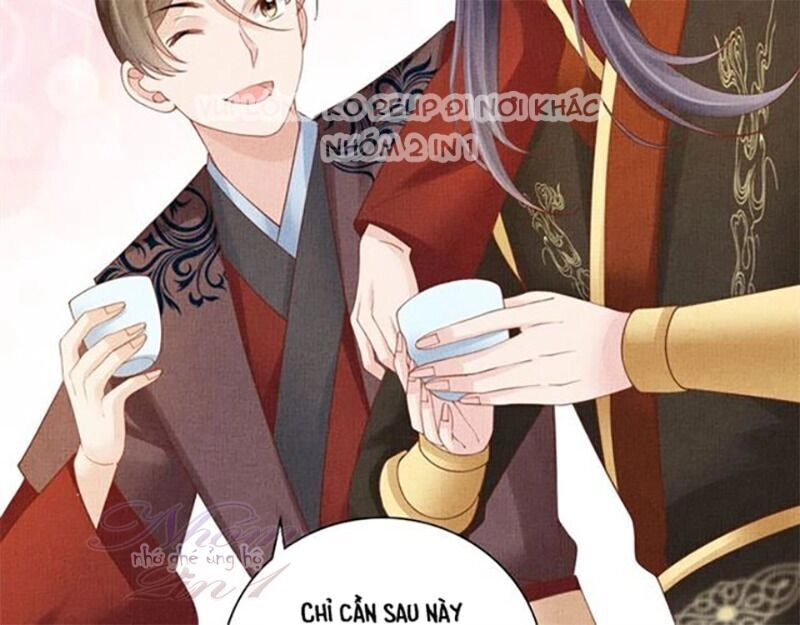 Thịnh Sủng Y Phi Chi Dao Quan Truyện Chapter 139 - 56