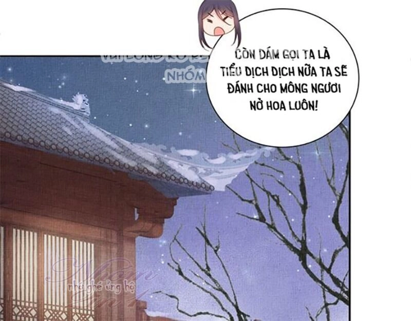 Thịnh Sủng Y Phi Chi Dao Quan Truyện Chapter 139 - 60