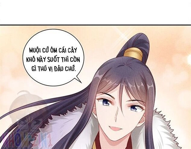 Thịnh Sủng Y Phi Chi Dao Quan Truyện Chapter 141 - 44