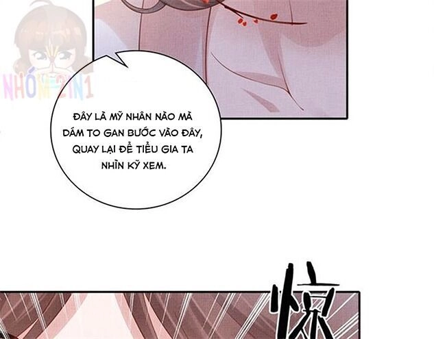 Thịnh Sủng Y Phi Chi Dao Quan Truyện Chapter 151 - 5