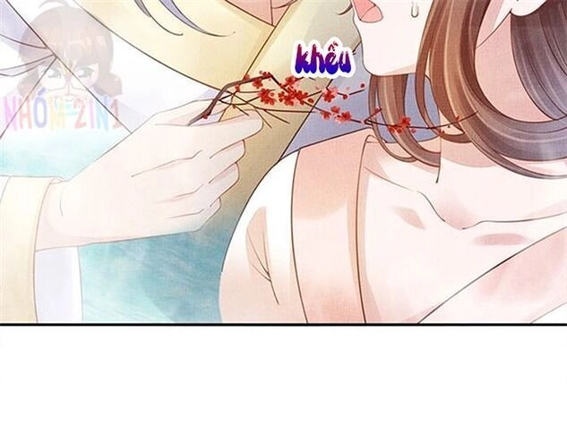 Thịnh Sủng Y Phi Chi Dao Quan Truyện Chapter 151 - 9