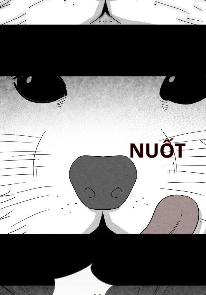 Những Câu Chuyện Bất Thường Chapter 209 - 35