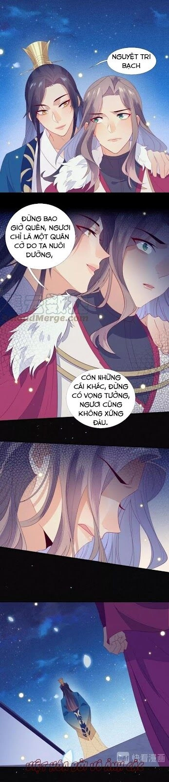 Thừa Tướng, Trẫm Biết Sai Rồi! Chapter 22 - 7