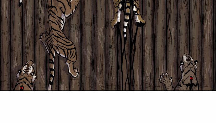 Anh Trai Tôi Là Hổ Chapter 2 - 12