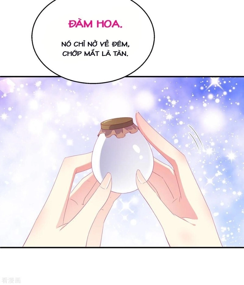 Tân Nương Nhân Ngư Của Long Vương Chapter 19 - 27