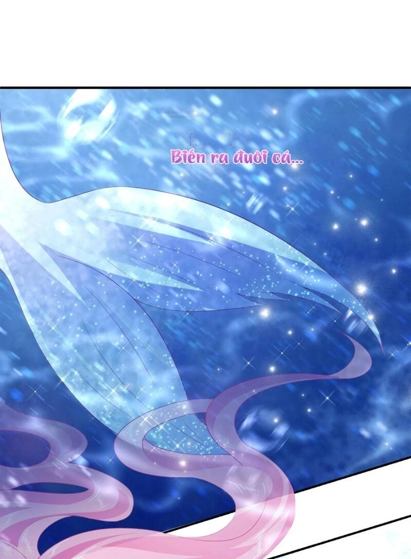 Tân Nương Nhân Ngư Của Long Vương Chapter 23 - 19