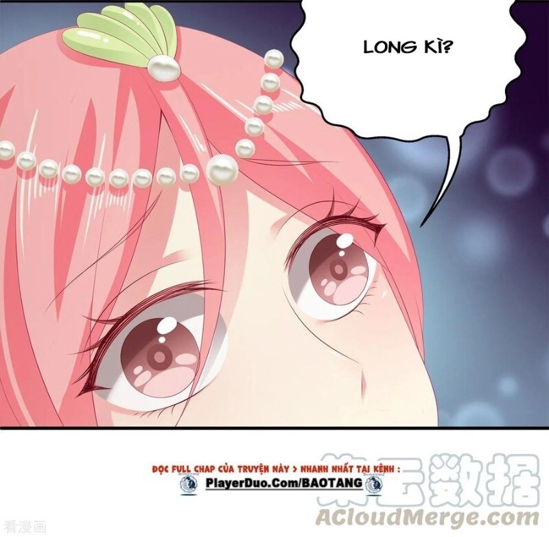 Tân Nương Nhân Ngư Của Long Vương Chapter 39 - 49