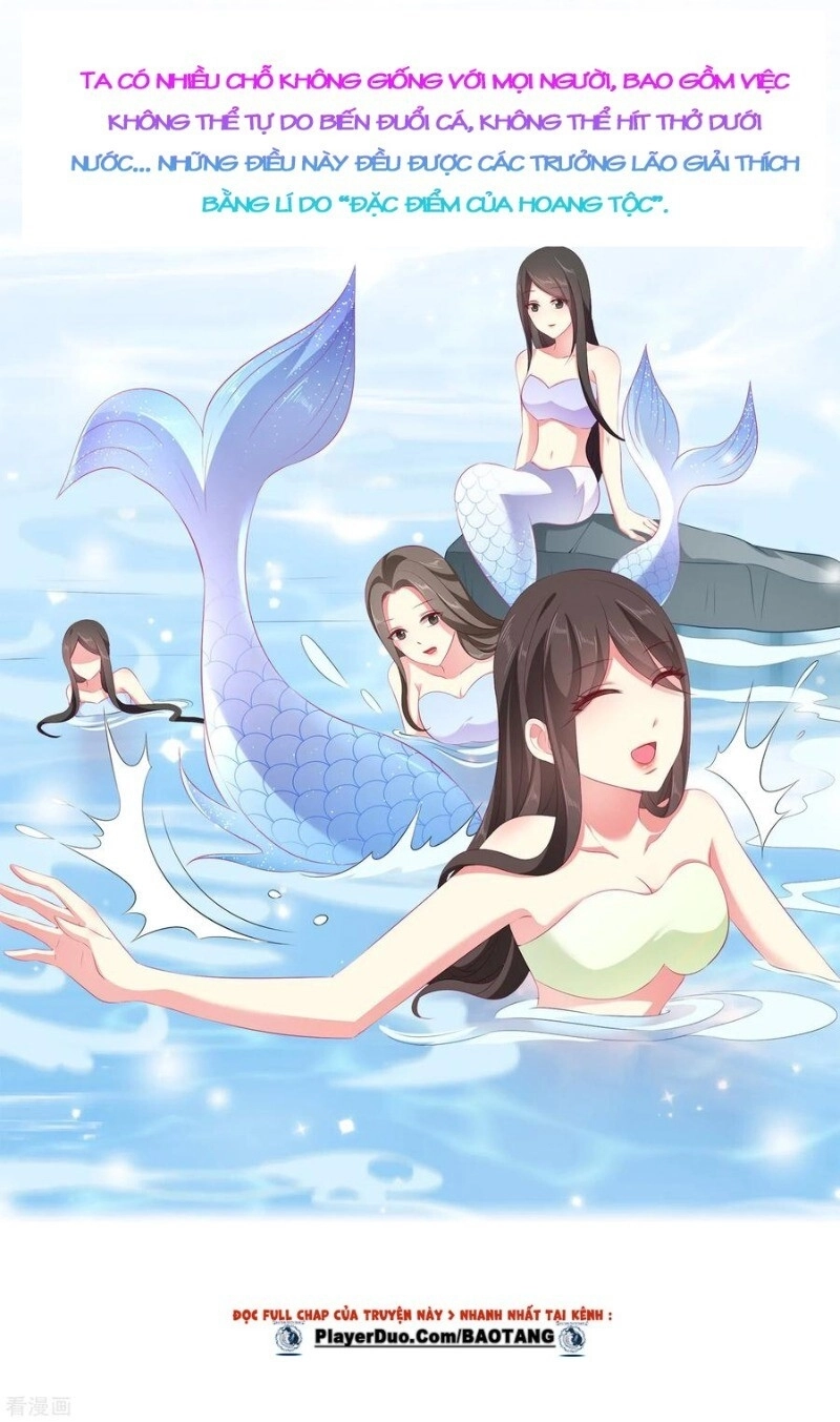 Tân Nương Nhân Ngư Của Long Vương Chapter 41 - 7