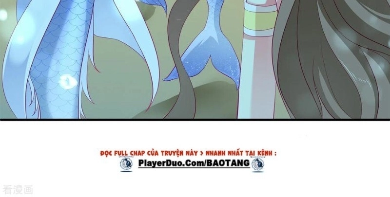 Tân Nương Nhân Ngư Của Long Vương Chapter 52 - 15