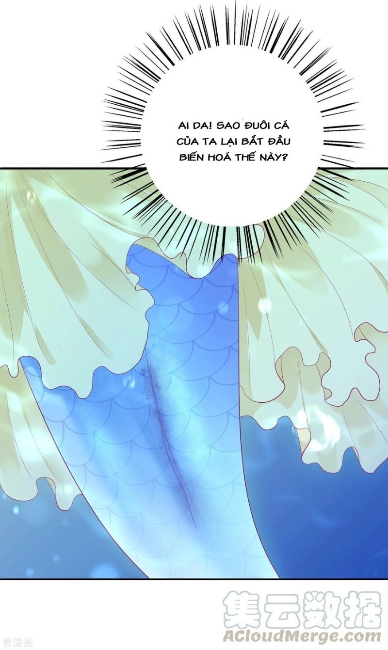 Tân Nương Nhân Ngư Của Long Vương Chapter 52 - 48