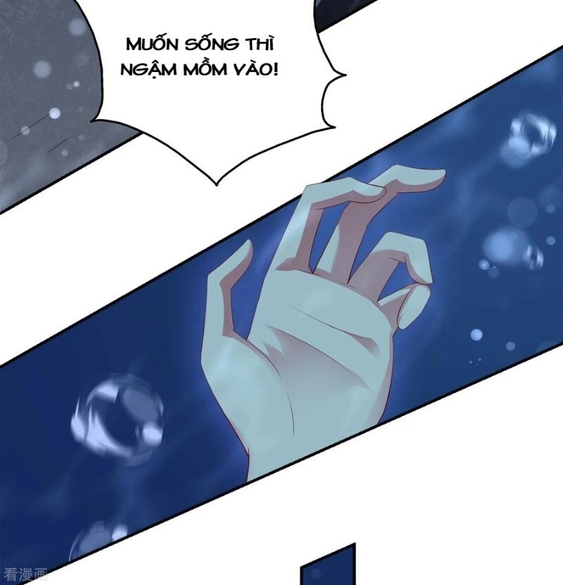 Tân Nương Nhân Ngư Của Long Vương Chapter 56 - 5