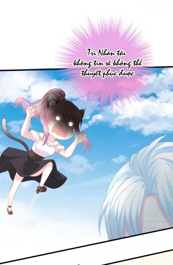 Cô Vợ Đáng Yêu Của Tổng Giám Đốc Mặt Lạnh Chapter 1 - 78