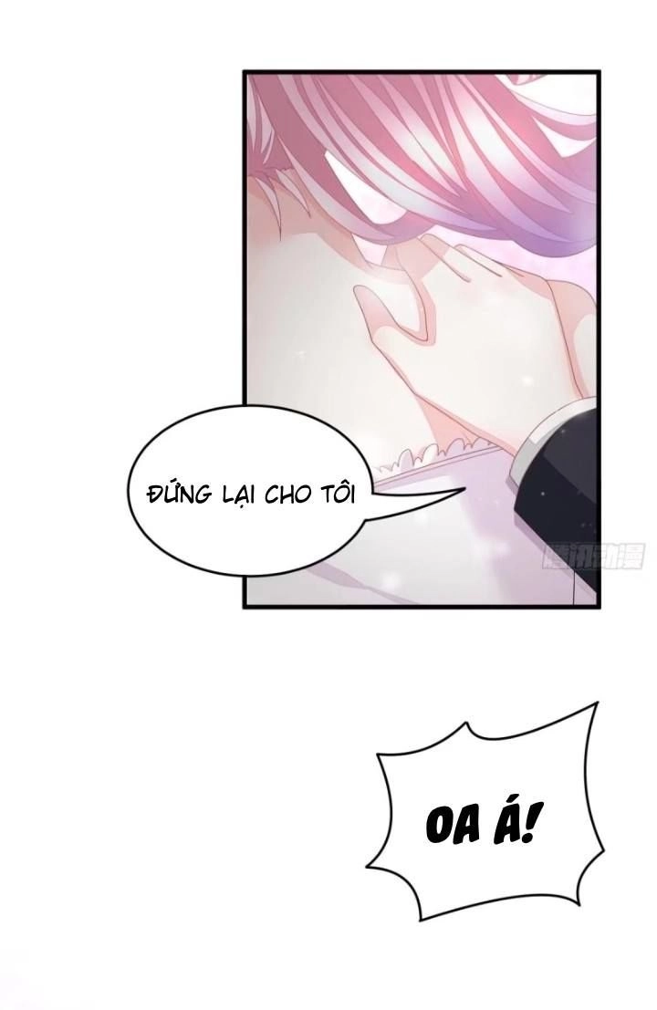 Cô Vợ Đáng Yêu Của Tổng Giám Đốc Mặt Lạnh Chapter 2 - 13