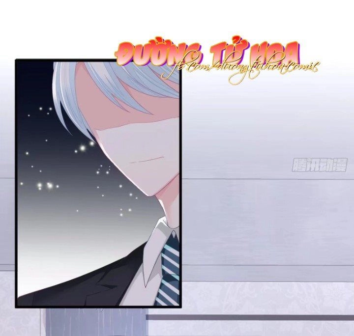 Cô Vợ Đáng Yêu Của Tổng Giám Đốc Mặt Lạnh Chapter 2 - 17