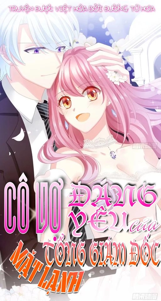 Cô Vợ Đáng Yêu Của Tổng Giám Đốc Mặt Lạnh Chapter 5 - 1