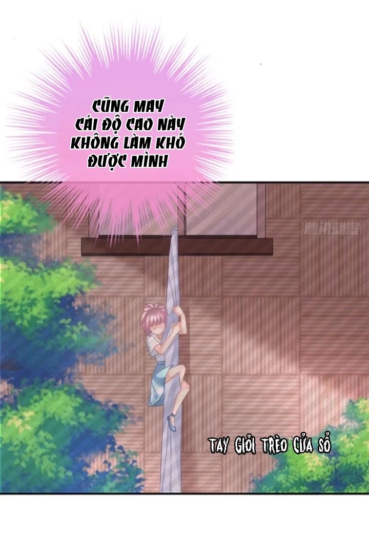 Cô Vợ Đáng Yêu Của Tổng Giám Đốc Mặt Lạnh Chapter 10 - 1