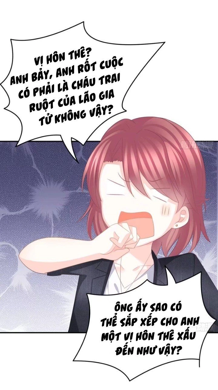 Cô Vợ Đáng Yêu Của Tổng Giám Đốc Mặt Lạnh Chapter 11 - 27