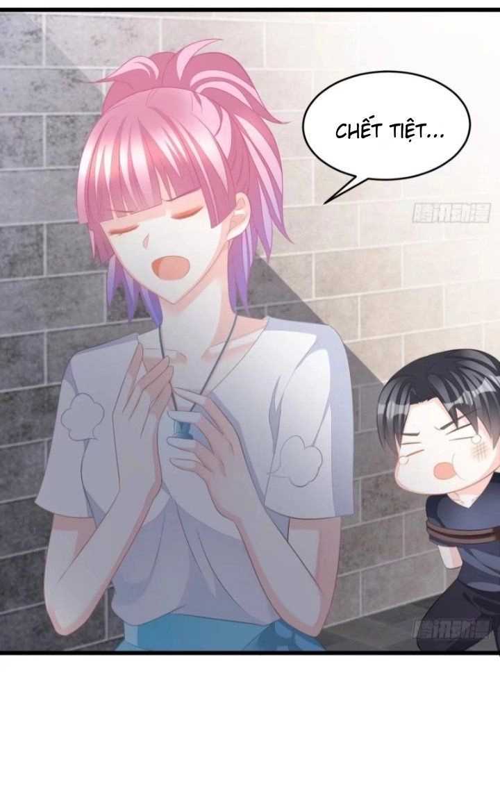 Cô Vợ Đáng Yêu Của Tổng Giám Đốc Mặt Lạnh Chapter 14 - 14