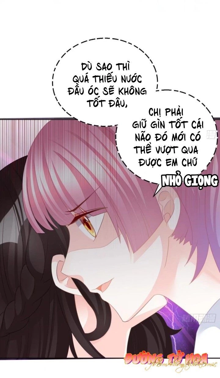 Cô Vợ Đáng Yêu Của Tổng Giám Đốc Mặt Lạnh Chapter 17 - 17