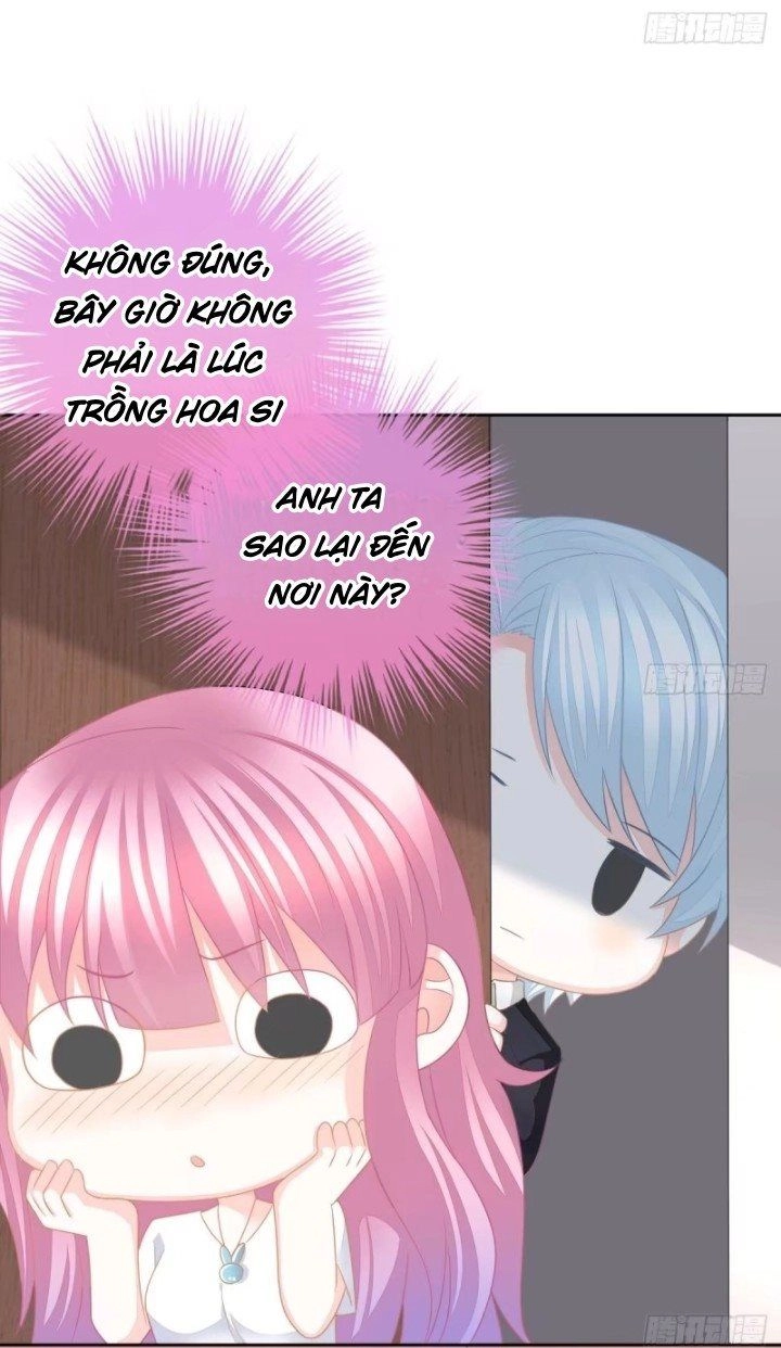 Cô Vợ Đáng Yêu Của Tổng Giám Đốc Mặt Lạnh Chapter 17 - 37