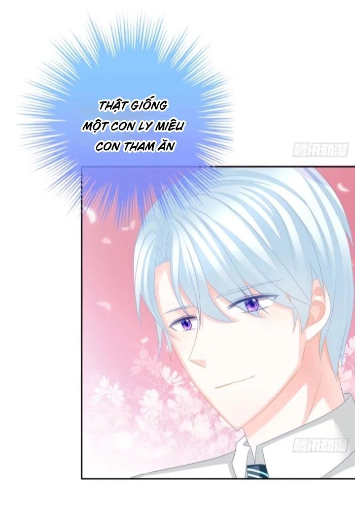 Cô Vợ Đáng Yêu Của Tổng Giám Đốc Mặt Lạnh Chapter 19 - 6