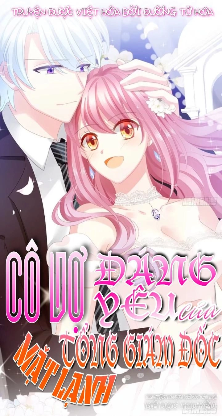 Cô Vợ Đáng Yêu Của Tổng Giám Đốc Mặt Lạnh Chapter 21 - 1