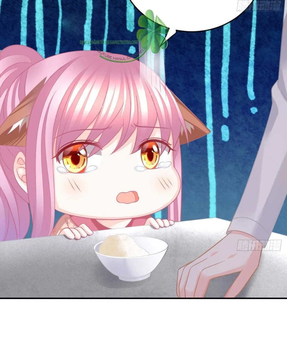 Cô Vợ Đáng Yêu Của Tổng Giám Đốc Mặt Lạnh Chapter 38 - 13