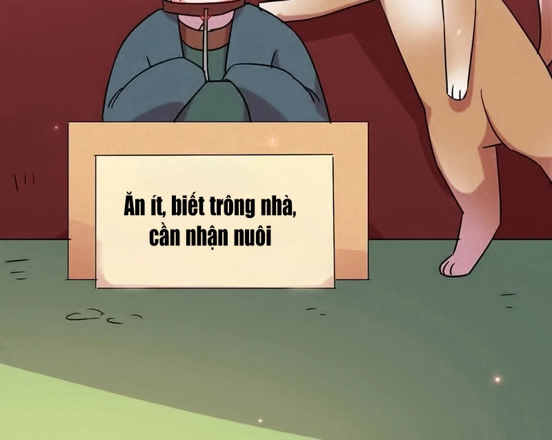 101 Mỹ Nam Của Vương Phi Béo Phì Chapter 19 - 15