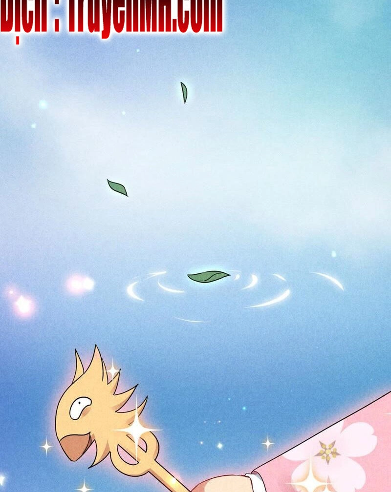 101 Mỹ Nam Của Vương Phi Béo Phì Chapter 29 - 17