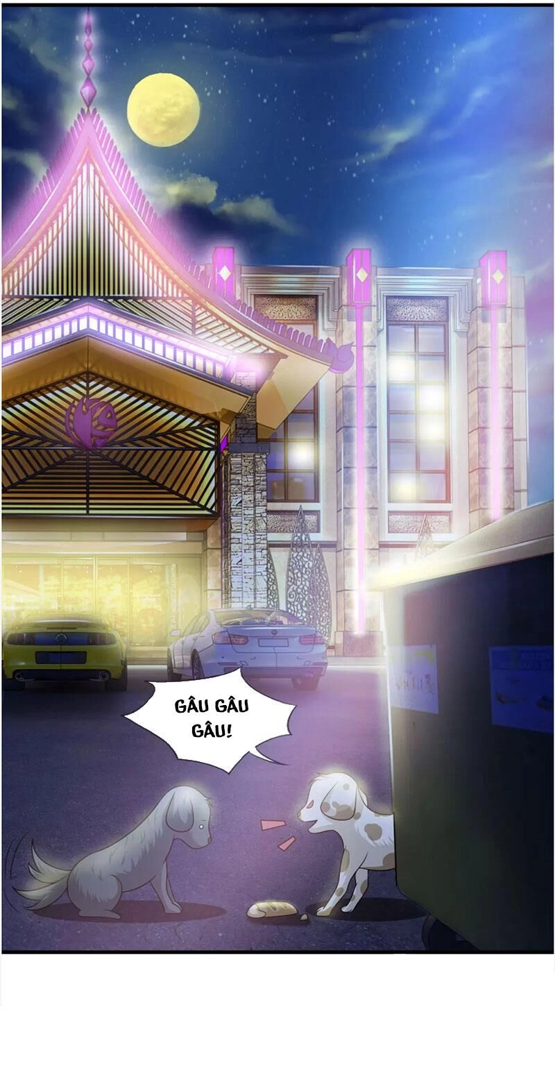 Phúc Hắc Lão Công Buông Em Ra Chapter 148 - 23