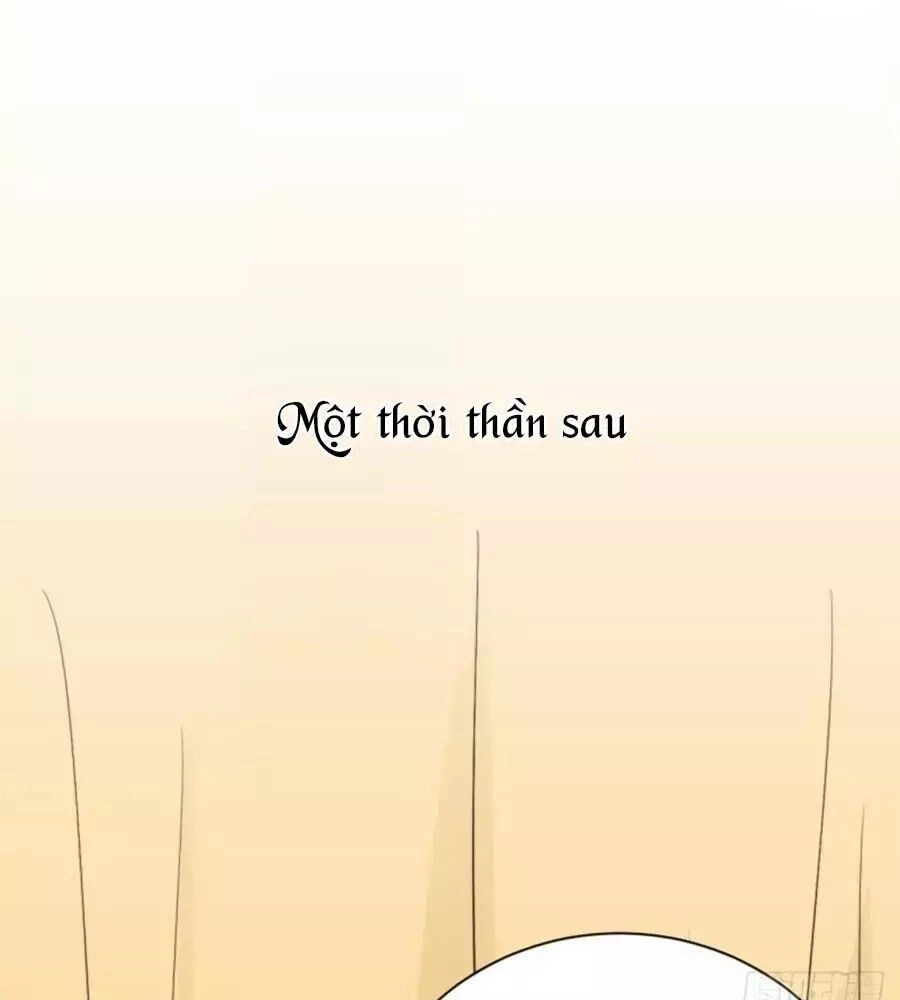 Cung Đấu Live Chapter 37 - 64