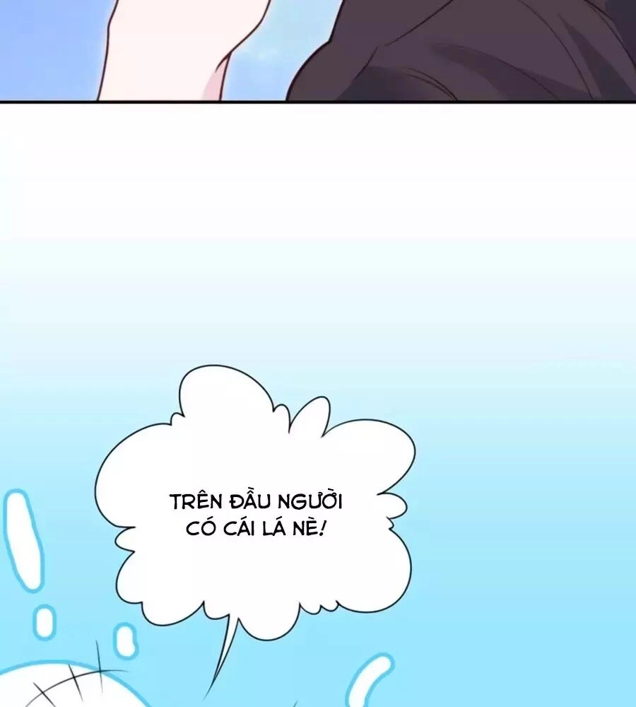 Cung Đấu Live Chapter 37 - 76