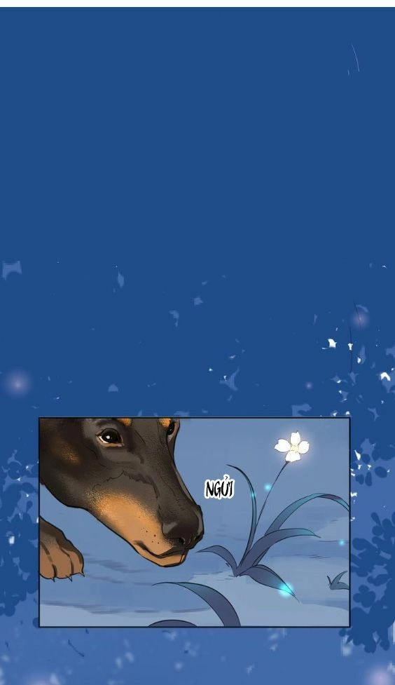 Hầu Nữ Giá Đáo Chapter 3 - 10