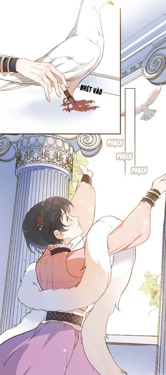 Hầu Nữ Giá Đáo Chapter 5 - 2