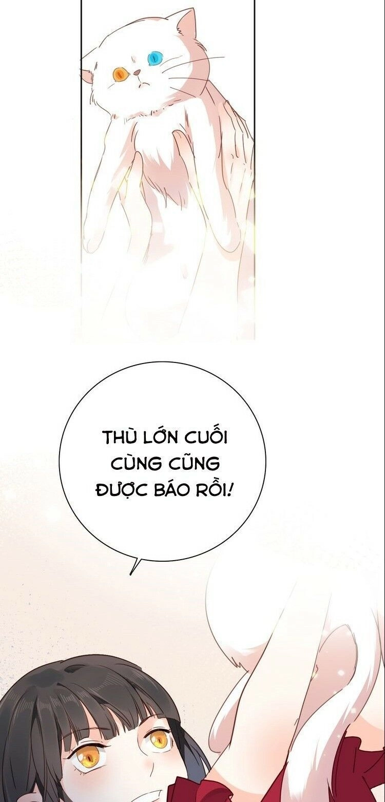 Hầu Nữ Giá Đáo Chapter 19 - 46