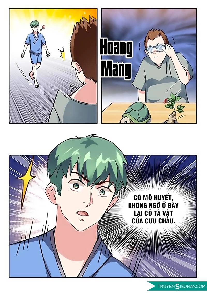 Cực Phẩm Tu Chân Thiếu Niên Chapter 8 - 3