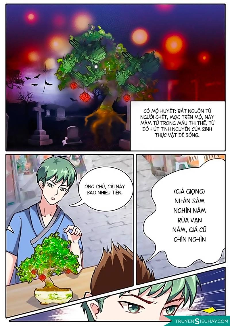 Cực Phẩm Tu Chân Thiếu Niên Chapter 8 - 4