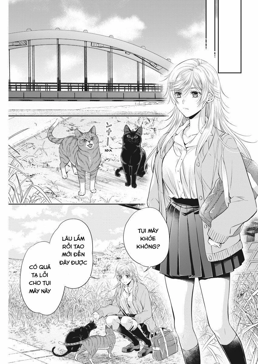 Mùa Xuân Đến Chapter 7 - 19