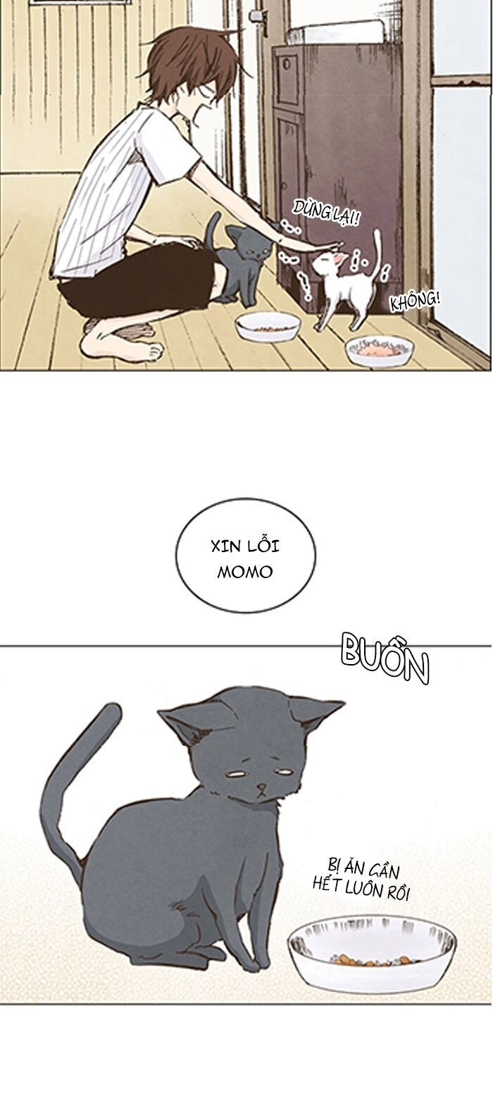 Làm Vợ Anh, Em Nhé Chapter 35 - 22