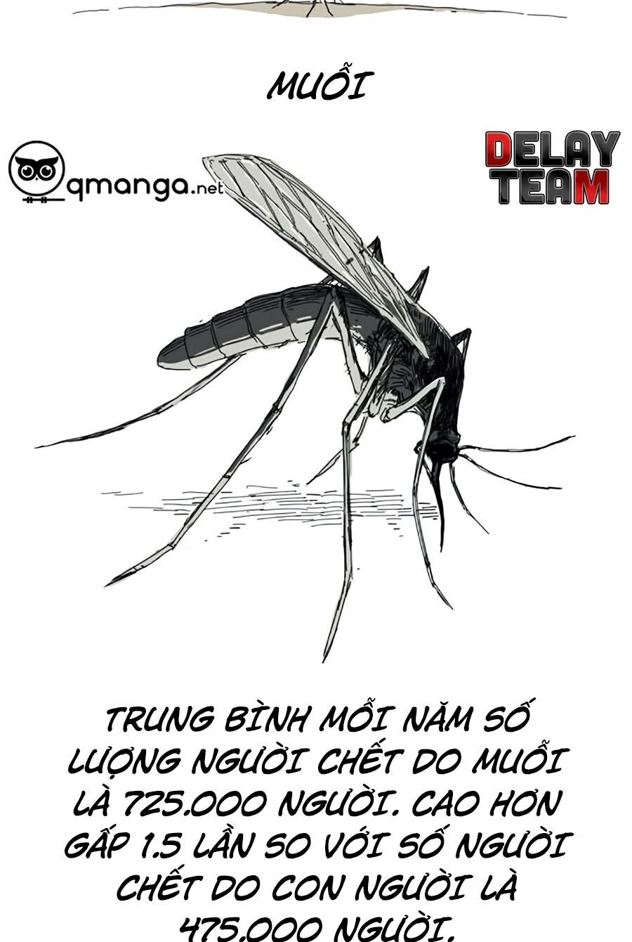 Đại Chiến Muỗi Biến Dị Chapter 1 - 9