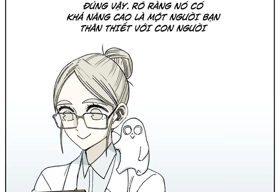 Đại Chiến Muỗi Biến Dị Chapter 40 - 37
