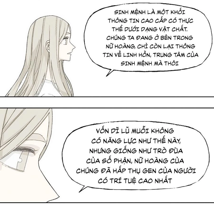 Đại Chiến Muỗi Biến Dị Chapter 47 - 20