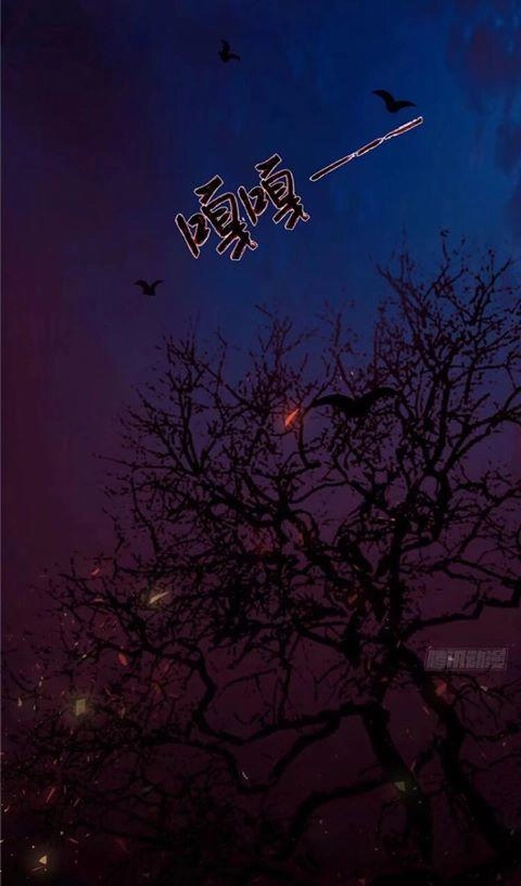 Nghịch Thiên Độc Y: Long Tôn Cầu Buông Ra Chapter 1 - 2