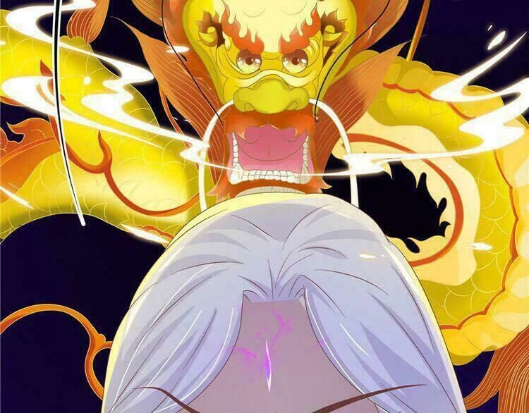 Nghịch Thiên Độc Y: Long Tôn Cầu Buông Ra Chapter 4 - 62