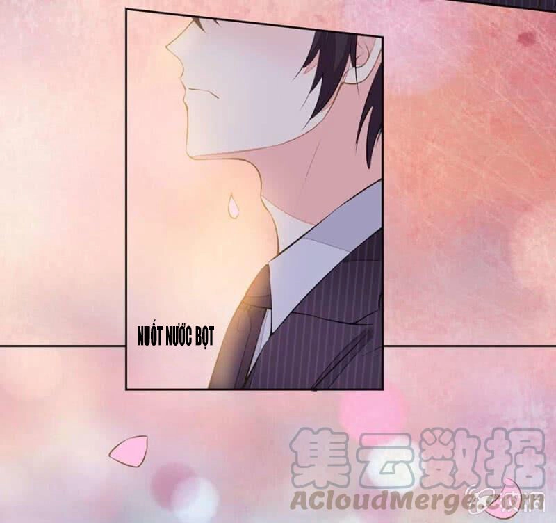 Hôn Sai 55 Lần Chapter 102 - 14