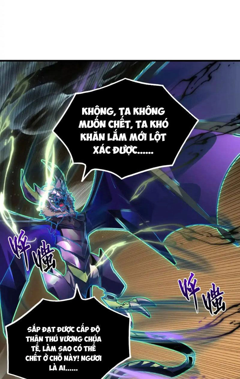 Mạt Thế Quật Khởi Chapter 254 - 4