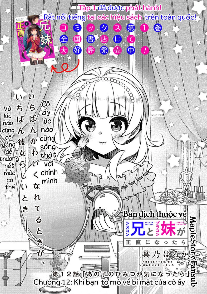 Siscon Ani To Brocon Imouto Ga Shoujiki Ni Nattara Chapter 12 - 3