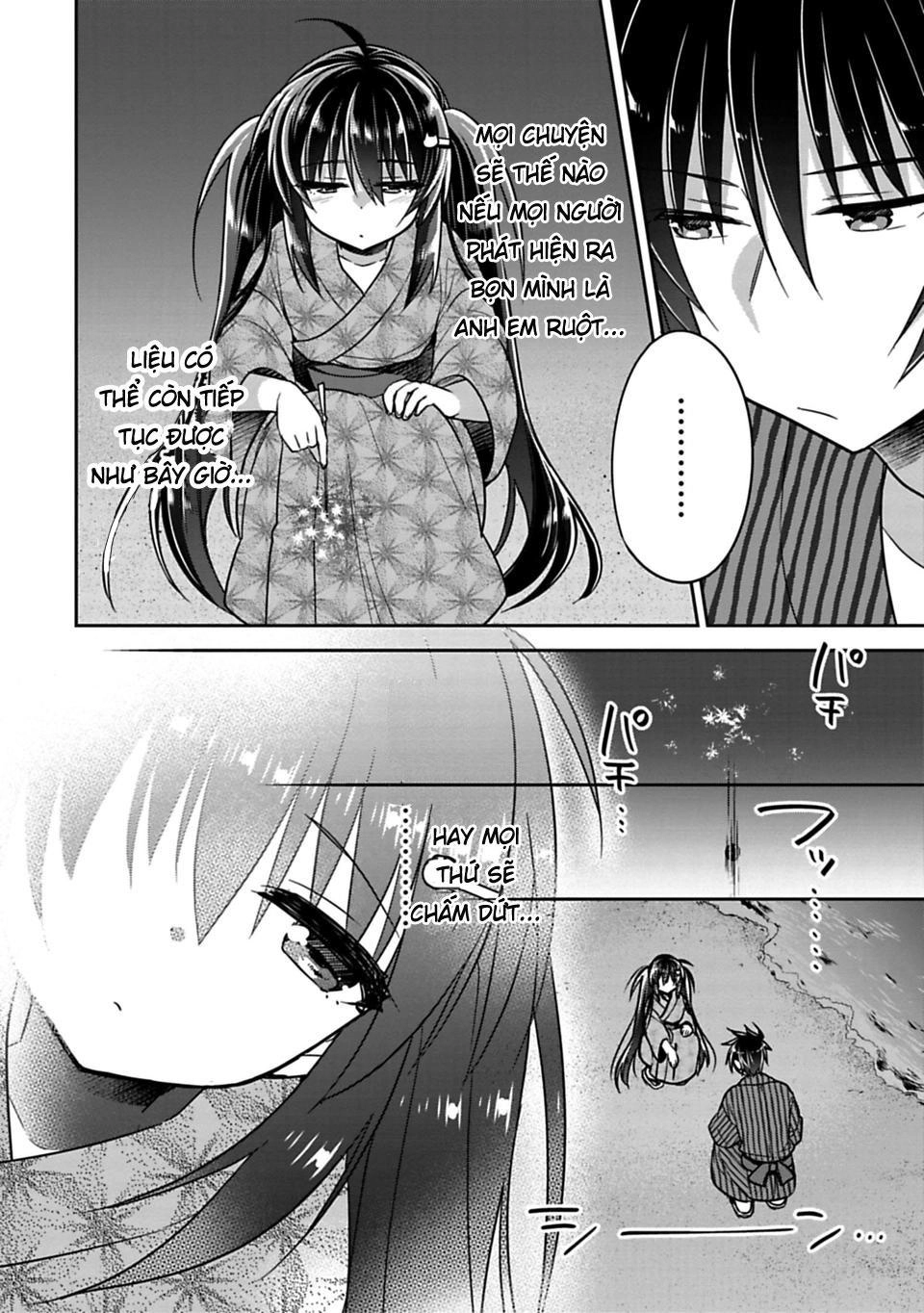 Siscon Ani To Brocon Imouto Ga Shoujiki Ni Nattara Chapter 15.5 - 3